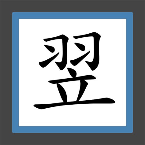 翌同音字|翌字的解释